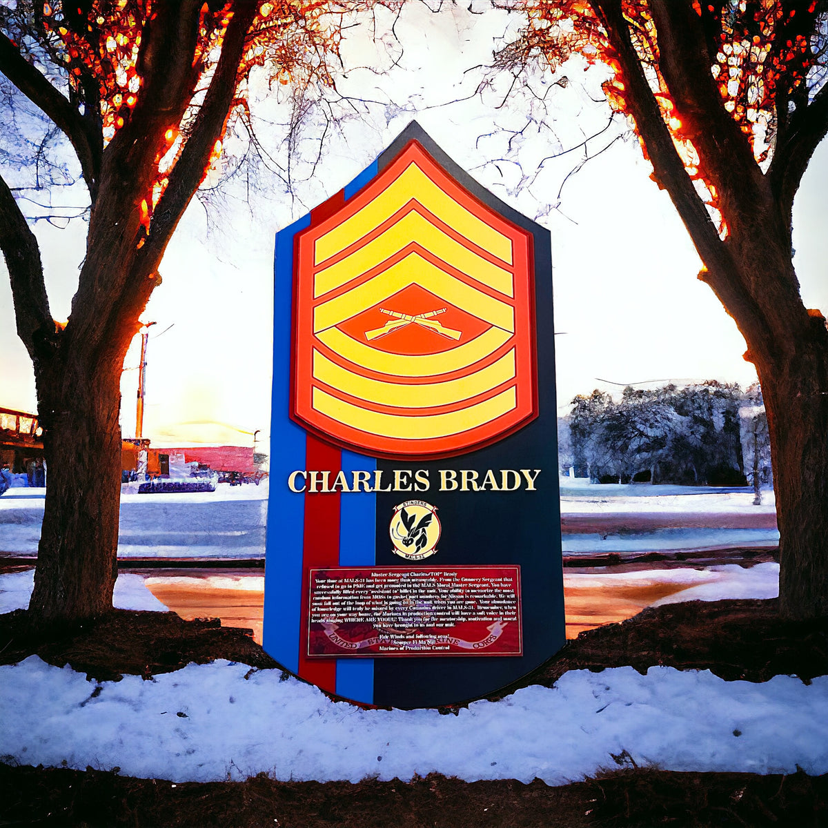 Custom Military Rank Insignia Display Board