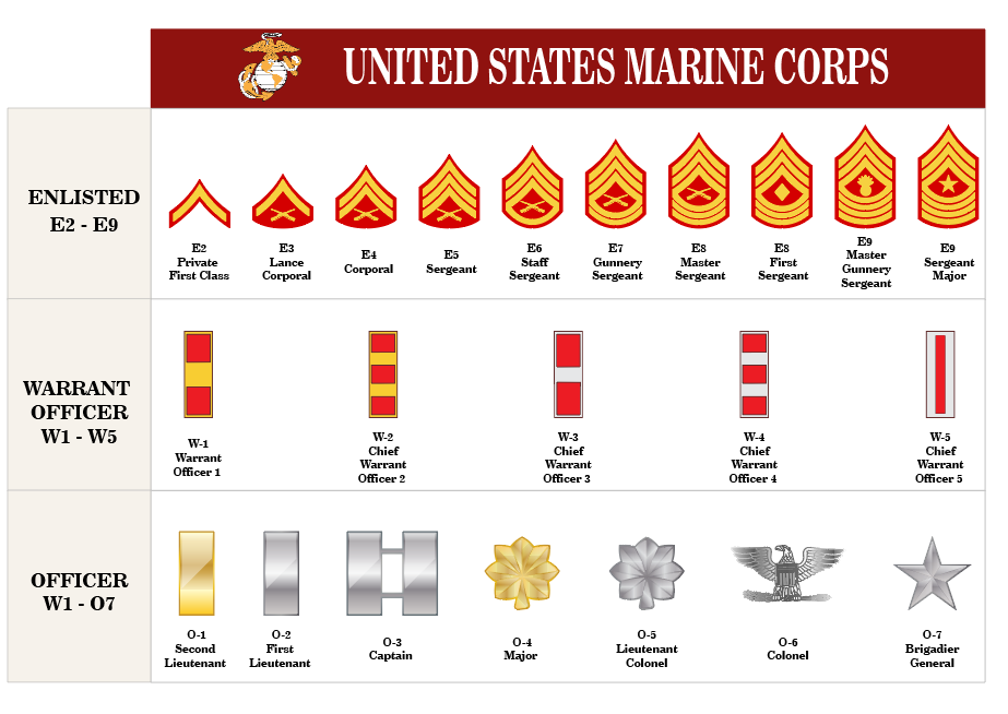 3D Printed Marine Corps Rank Insignia | Custom Display