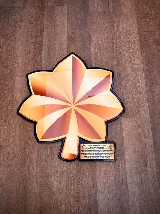 Military Chevron Plaques