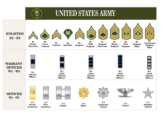 3D Printed Army Rank Insignia | Custom Display