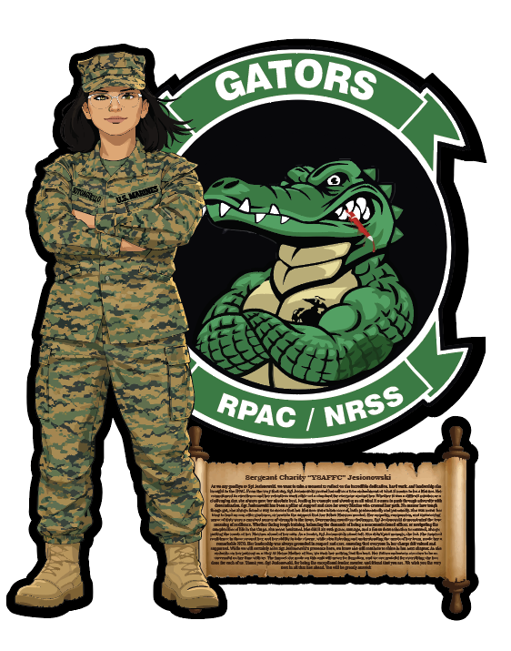 Custom Image & Logo Combo Plaque – Military Command Display