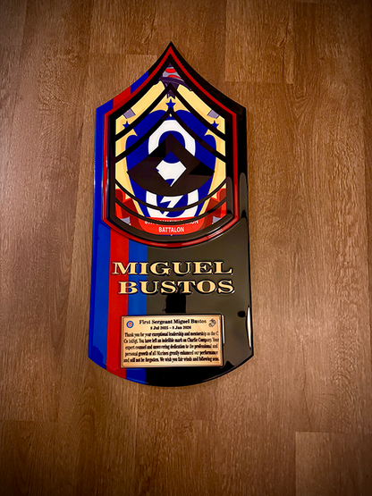 Custom Military Rank Insignia Display Board